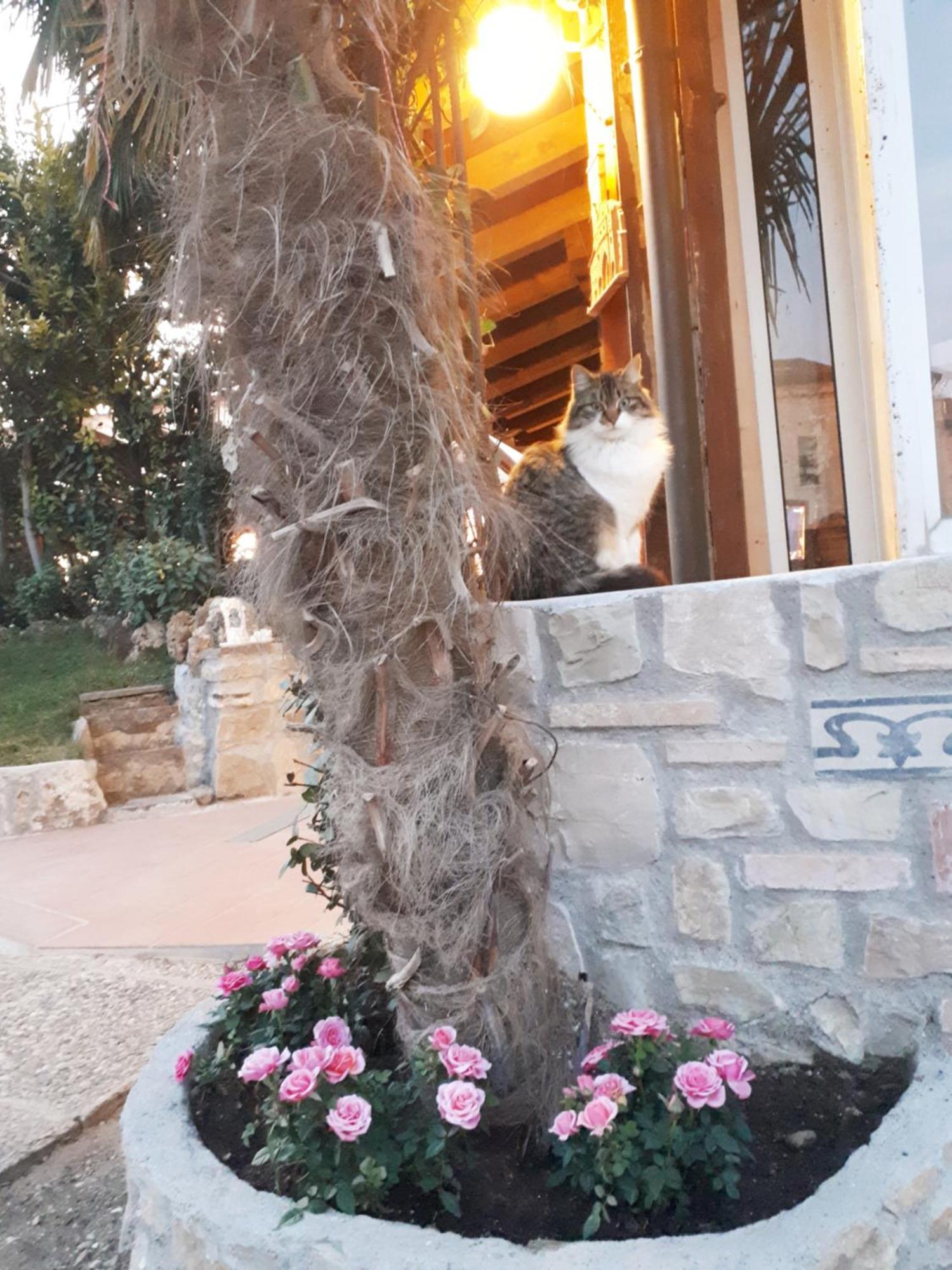 Bed and Breakfast Perla Gussago Exterior foto